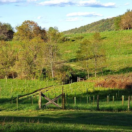 Walnut Run Farm Villa Woodville Exterior photo